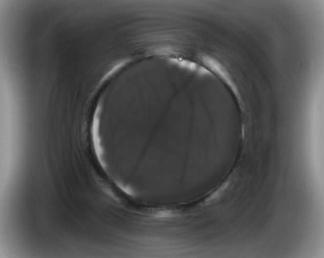X0000083570249200703091643