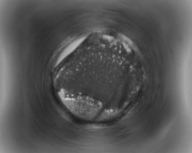 X0000083570250200703091643