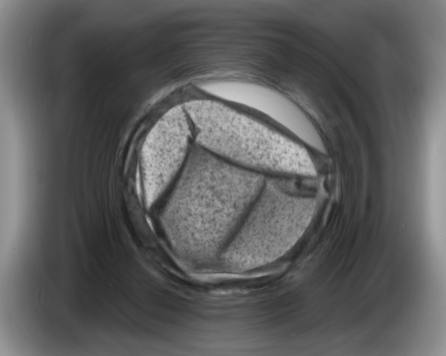 X0000083570252200703091643