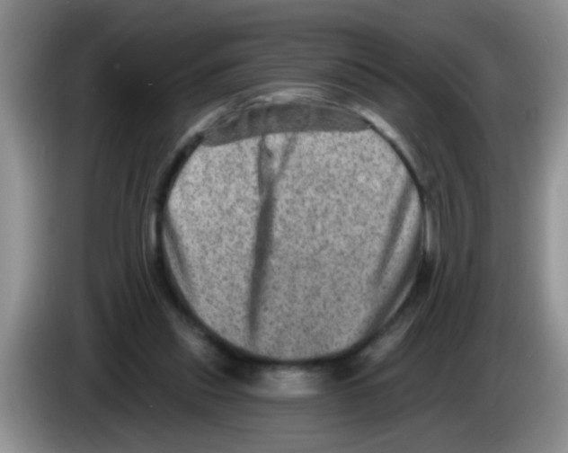 X0000083570253200703091643