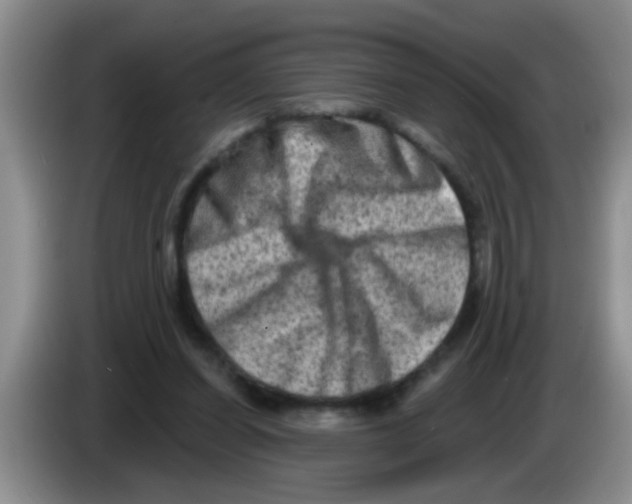 X0000083570254200703091643