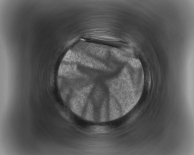 X0000083570255200703091643