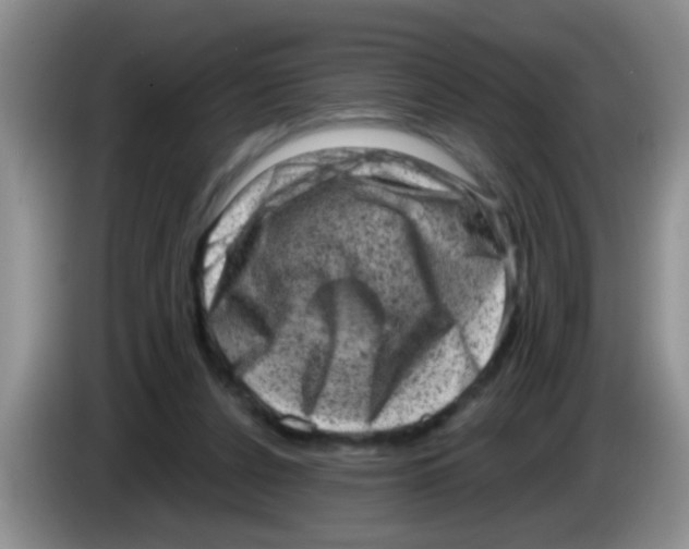 X0000083570256200703091643