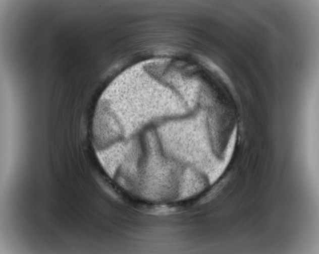 X0000083570257200703091643