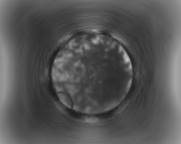 X0000083570258200703091644