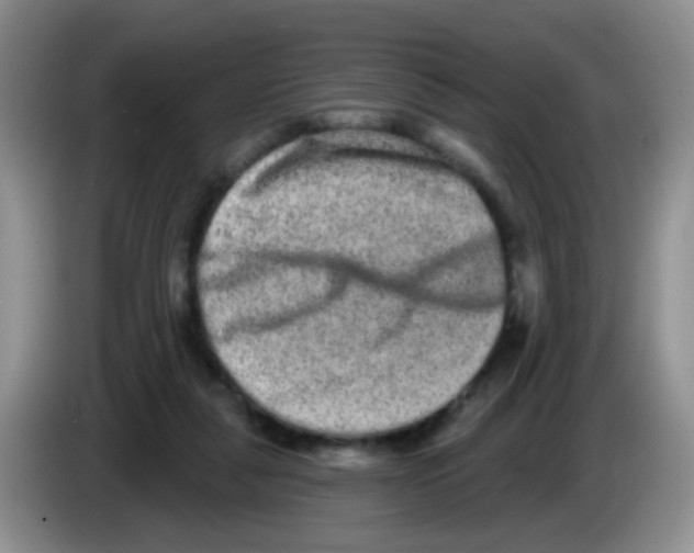 X0000083570259200703091644