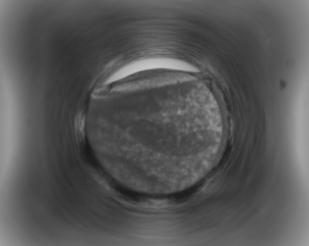 X0000083570260200703091644