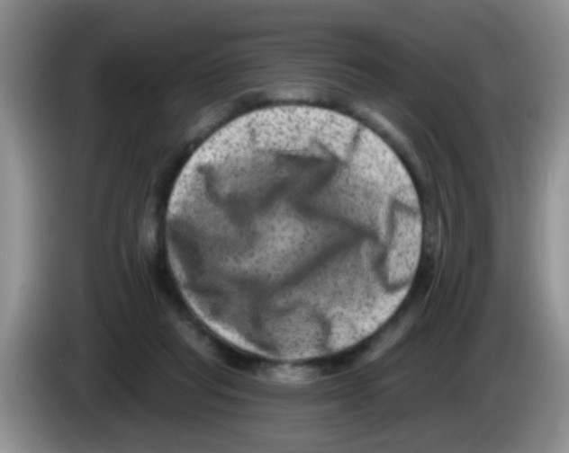 X0000083570261200703091644