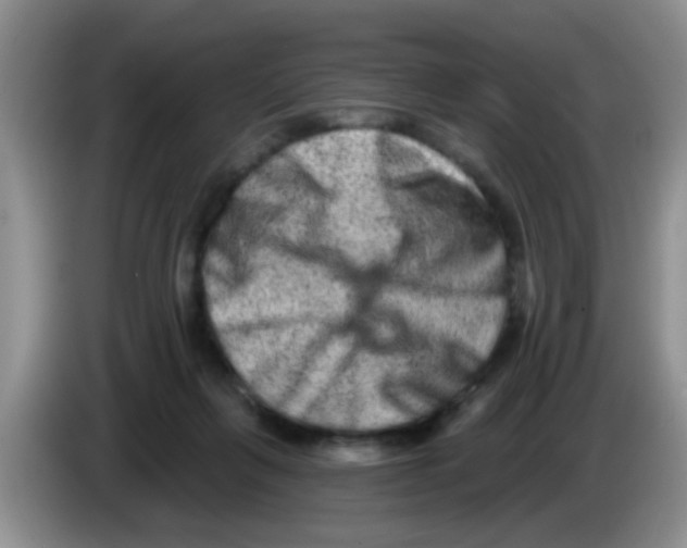 X0000083570263200703091644