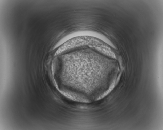 X0000083570264200703091644