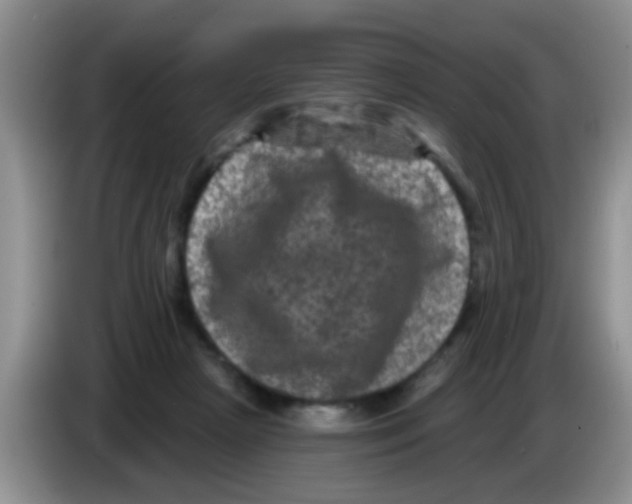 X0000083570265200703091644