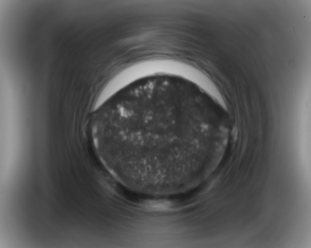X0000083570266200703091644