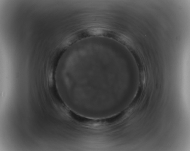 X0000083570267200703091644
