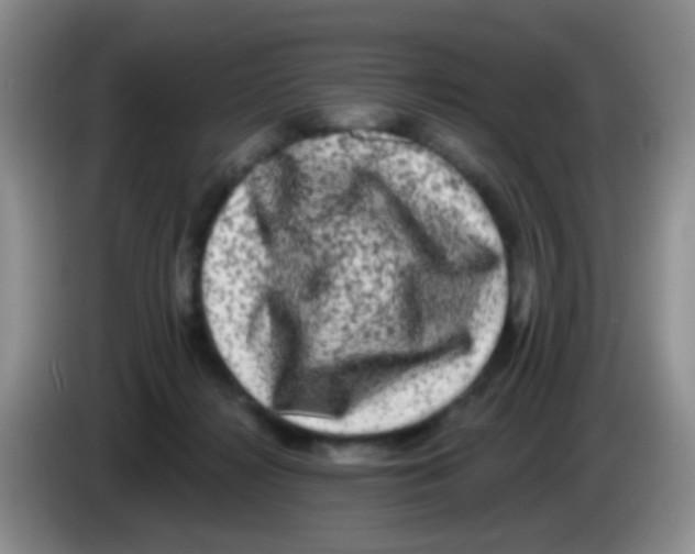 X0000083570268200703091644