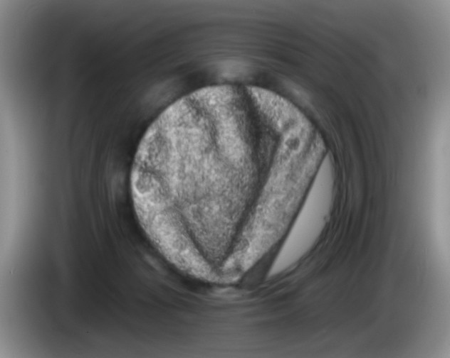 X0000083570269200703091644