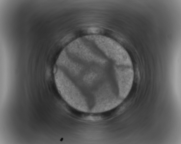 X0000083570270200703091644