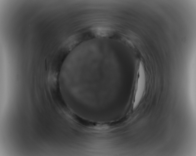 X0000083570271200703091644