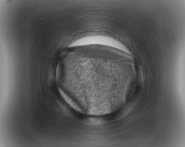 X0000083570272200703091644