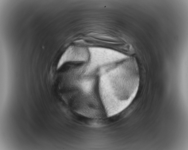 X0000083570273200703091644