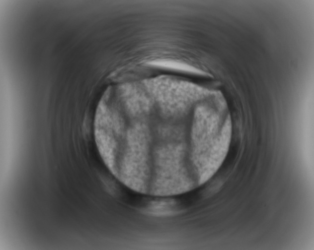X0000083570274200703091644