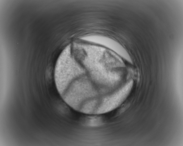 X0000083570275200703091644