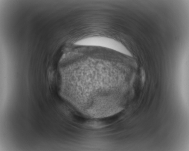 X0000083570276200703091644