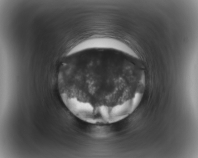 X0000083570277200703091644