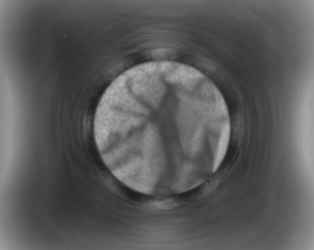 X0000083570278200703091644