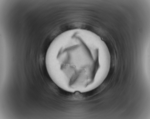 X0000083570279200703091644