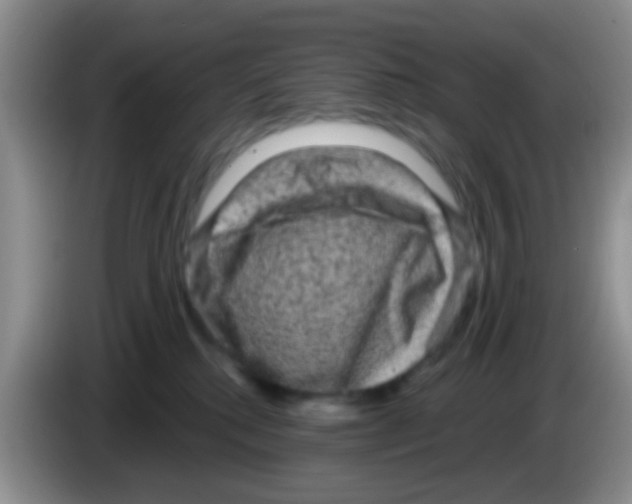 X0000083570280200703091644