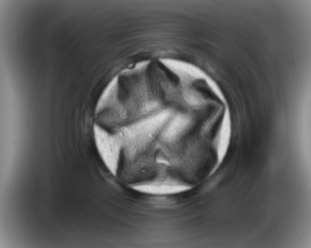 X0000083570281200703091644