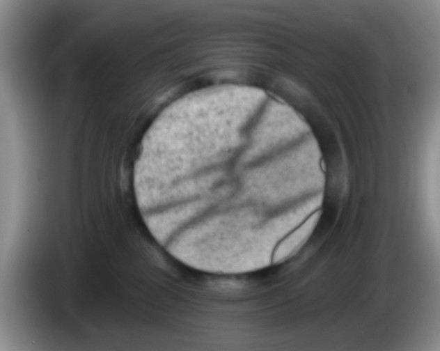 X0000083570282200703091644