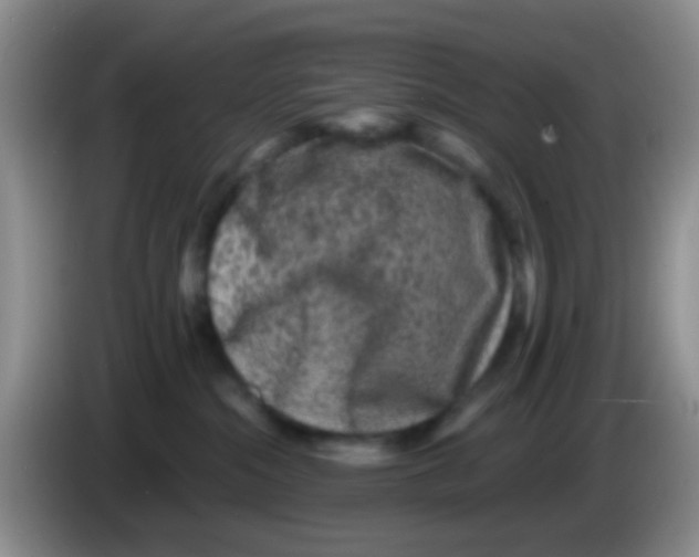 X0000083570284200703091644