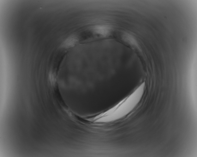 X0000083570285200703091644