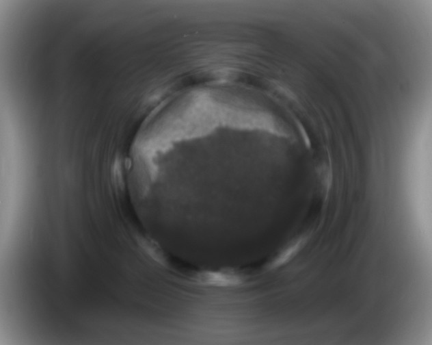 X0000083570286200703091644