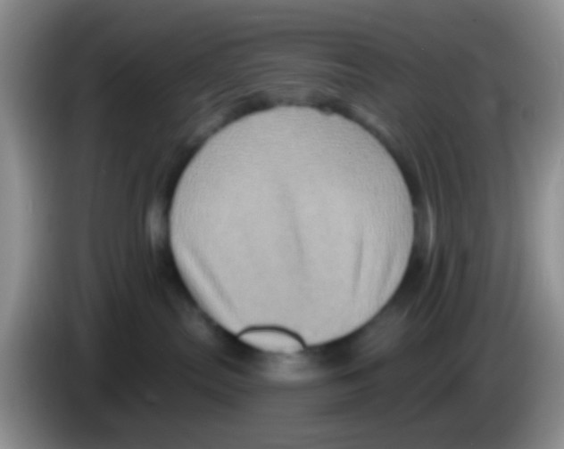X0000083570287200703091644
