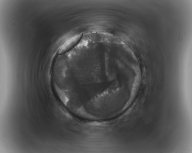 X0000083570290200703091643