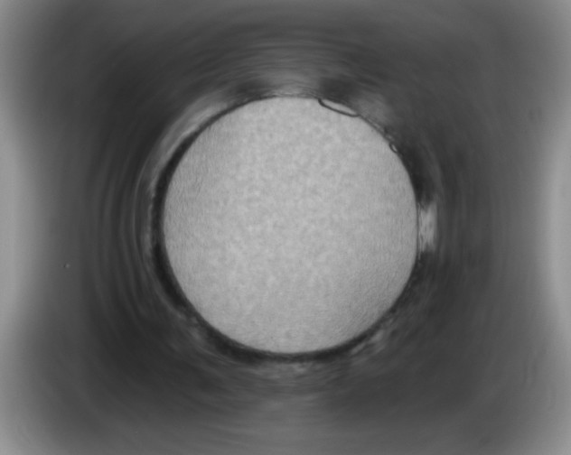 X0000083570291200703091643