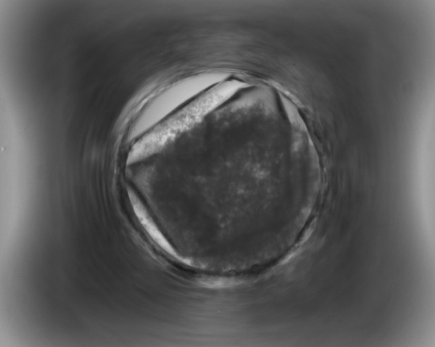 X0000083570293200703091643