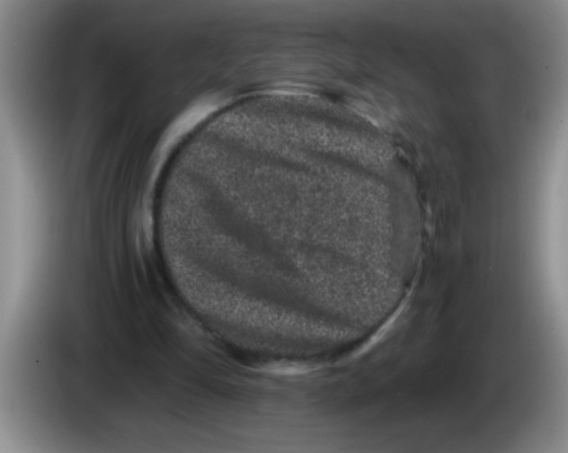 X0000083570294200703091643