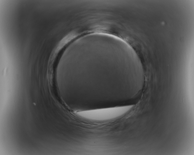 X0000083570295200703091643