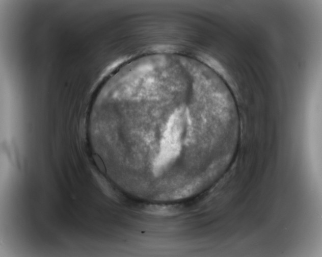X0000083570297200703091643
