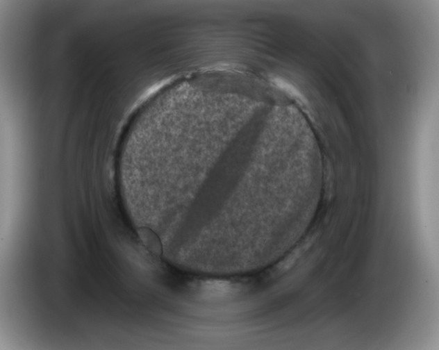 X0000083570298200703091643