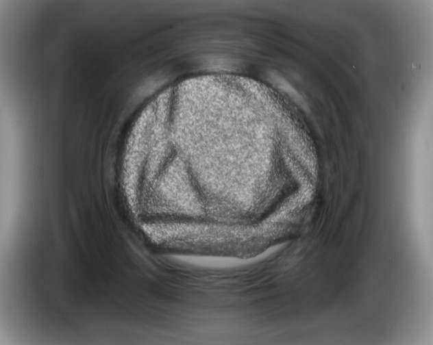 X0000083570299200703091643