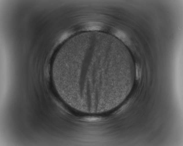 X0000083570300200703091643