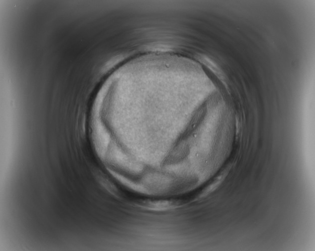 X0000083570301200703091643