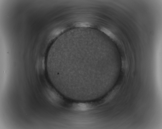 X0000083570302200703091643
