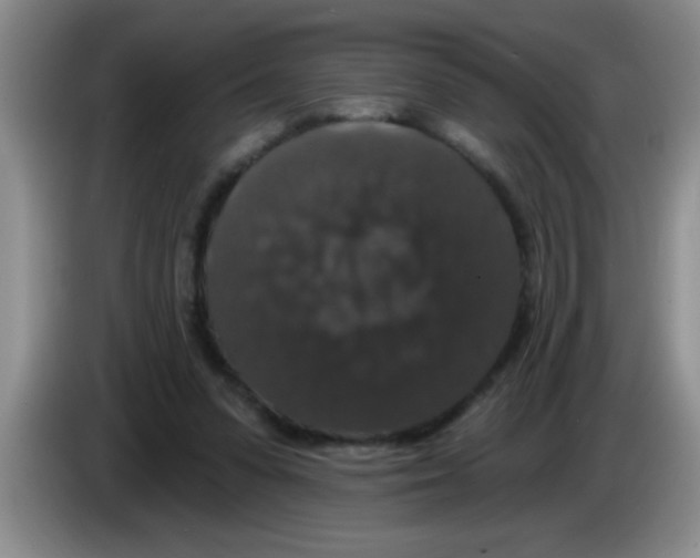 X0000083570303200703091643