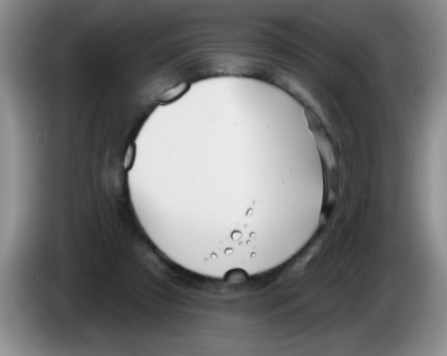 X0000083570305200703091643