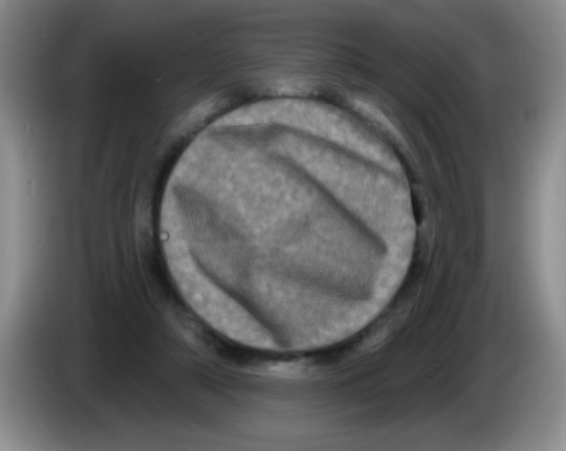 X0000083570306200703091643